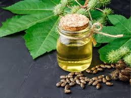 Amla Extract